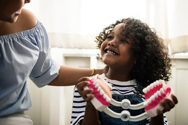 A little girl holding a dental model